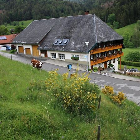 Ferienwohnung Talblick Todtmoos Exteriér fotografie