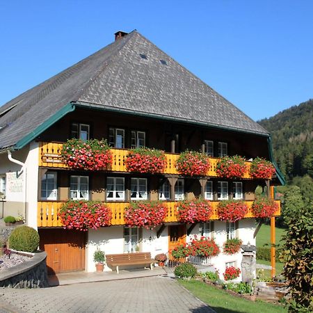 Ferienwohnung Talblick Todtmoos Exteriér fotografie