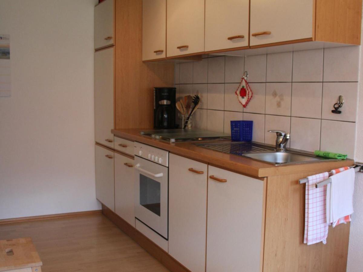 Ferienwohnung Talblick Todtmoos Exteriér fotografie