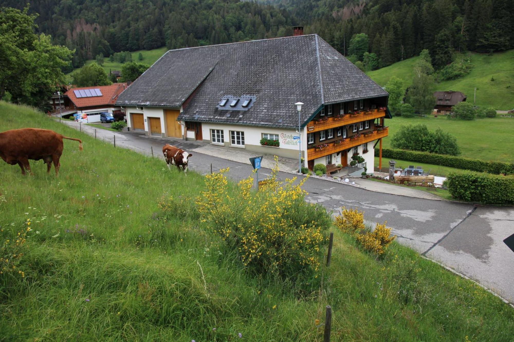 Ferienwohnung Talblick Todtmoos Exteriér fotografie
