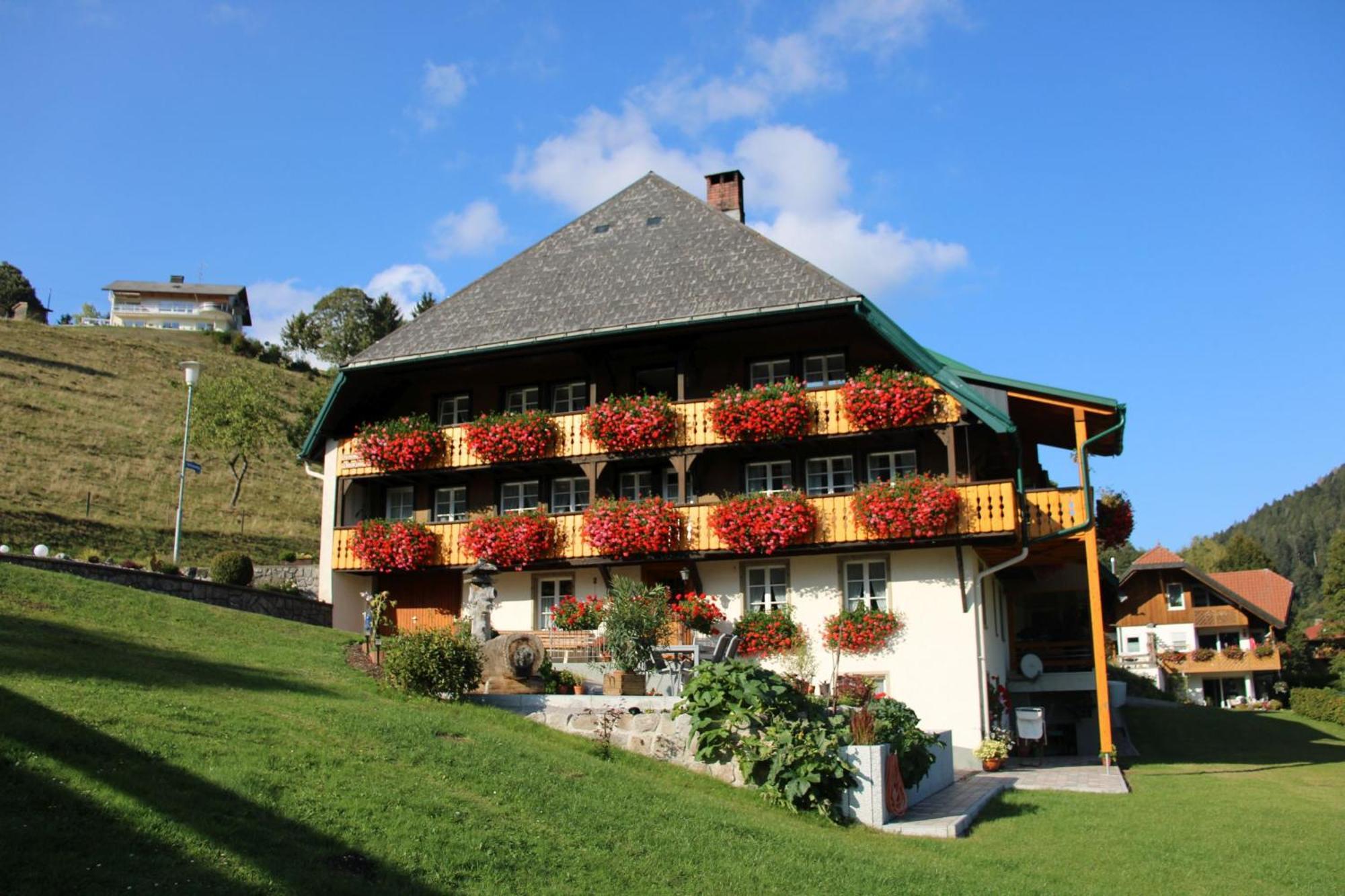 Ferienwohnung Talblick Todtmoos Exteriér fotografie